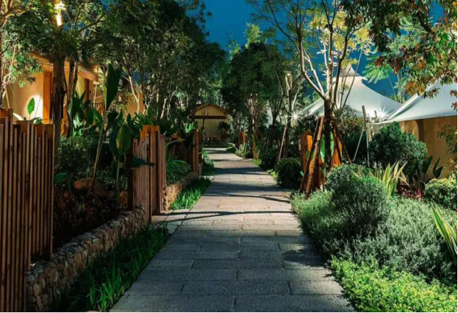 1657461770112957.png image.png